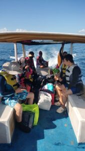 menjangan snorkeling private tour