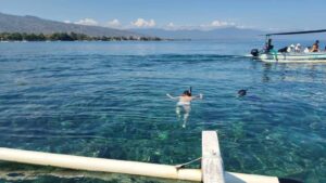 Lovina Dolphin Tour