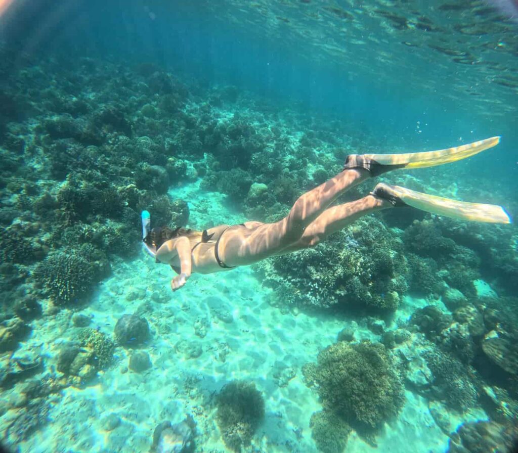 menjangan snorkeling