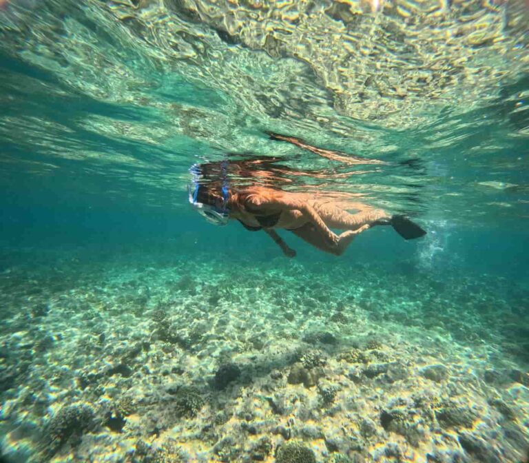 menjangan snorkeling
