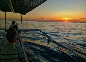 Lovina dolphin tour from canggu, ubud, kuta, seminyak, canggu