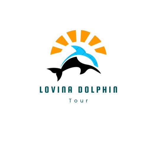 lovina dolphin tour