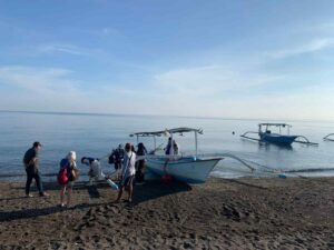 Bali Lovina Dolphin watching, snorkeling, and fishing