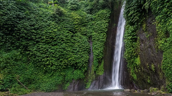 celukan bawang tour and taxi service