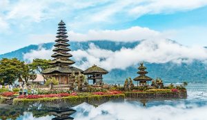 celukan bawang tour and taxi service